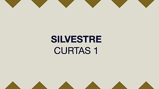 SILVESTRE CURTAS 1