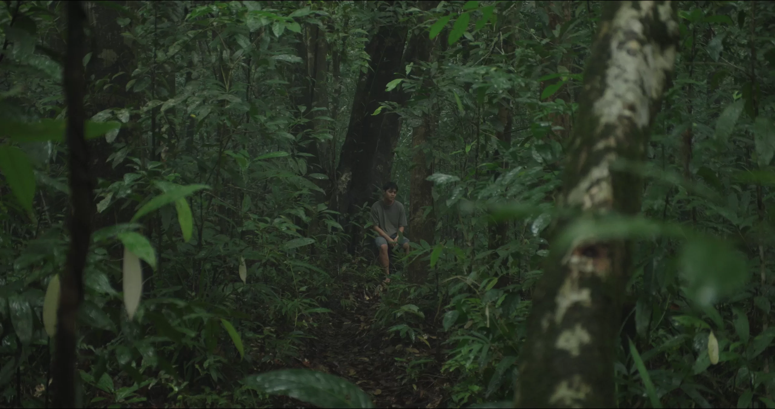 homem sentado numa árvore no meio da floresta