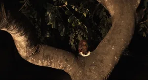 uma senhora mais velha em cima de uma árvore